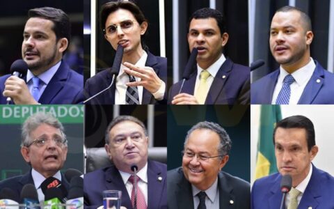 de-oito-deputados-federais-do-