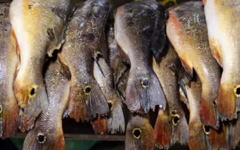 estudo-aponta-peixes-consumido