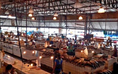feira-da-panair-passa-por-revi