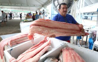 feirao-do-pescado-em-manaus-co