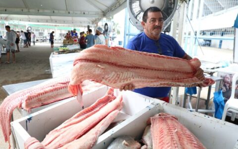 feirao-do-pescado-em-manaus-co