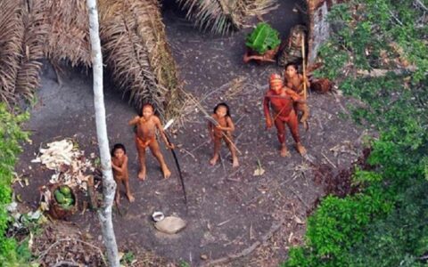mpf-acompanha-tratamento-para-