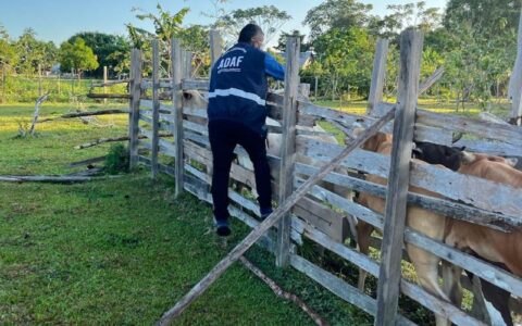vacinacao-obrigatoria-contra-a