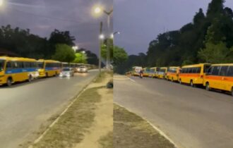 paralisacao-de-amarelinhos-peg