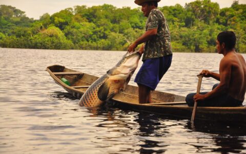 pescadores-devem-fazer-o-recad