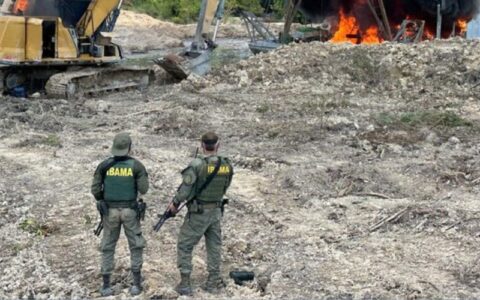 Ibama suspende 331 permissões de exploração garimpeira em área protegida