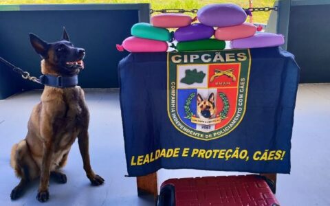 Homem é preso transportando 9 kg de cocaína na bagagem