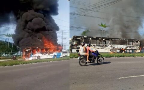 Ônibus do transporte público pega fogo na Torquato Tapajós