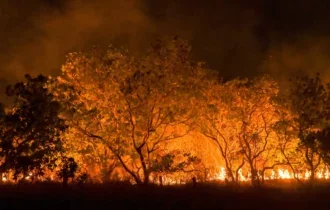 amazonia-tem-diversidade-empob