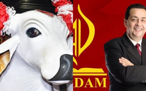 apos-boi-em-auditorio-do-idaam