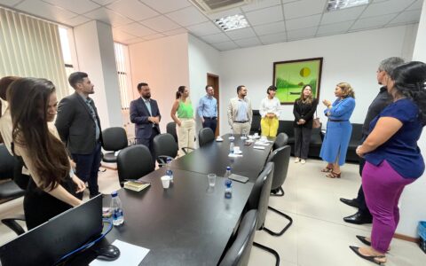 apos-decisoes-do-stf-comite-es