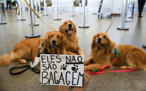 brasil-tem-terceira-maior-popu