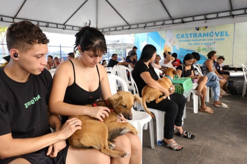 ‘Castramóvel’ mudou a vida de animais e tutores em 2024