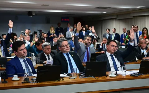 ccj-do-senado-isenta-armas-e-r