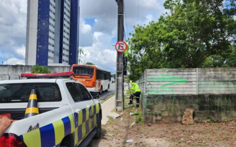 guardadores-de-carro-removem-p