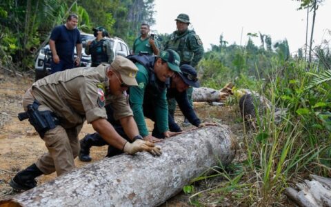 mais-de-600-pessoas-entram-na-