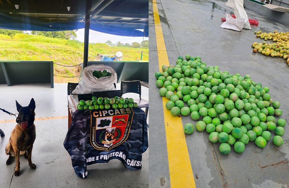 pmam-apreende-37-kg-de-cocaina