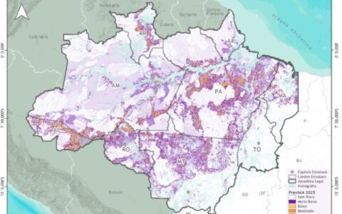 previsia-aponta-65-mil-km-com-