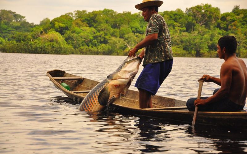 seguro-defeso-pescadores-devem