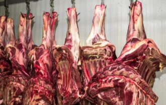 Exportação de carne bovina bate recorde em mês anterior ao tarifaço