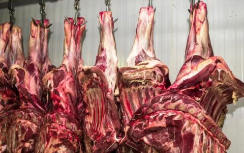 Exportação de carne bovina bate recorde em mês anterior ao tarifaço