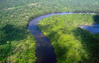 Amazônia Legal - Foto: Secom/Fotos Publicas