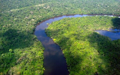 Amazônia Legal - Foto: Secom/Fotos Publicas