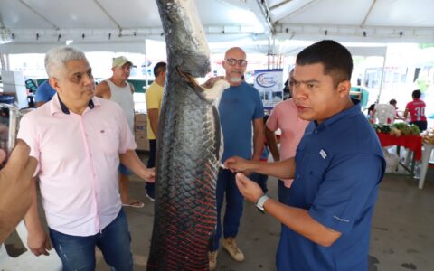governo-do-amazonas-promove-mu