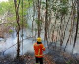 Defesa Civil alerta sobre incêndios - Foto: Divulgação/CBMAM