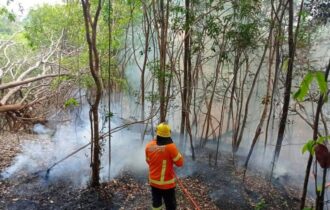 Defesa Civil alerta sobre incêndios - Foto: Divulgação/CBMAM
