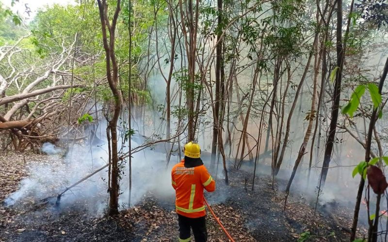 Defesa Civil alerta sobre incêndios - Foto: Divulgação/CBMAM