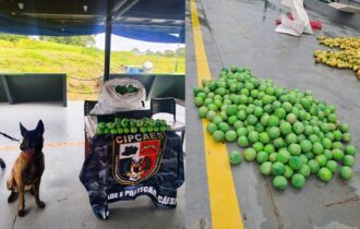 pmam-apreende-37-kg-de-cocaina