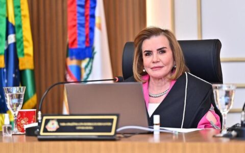 presidente-do-tce-am-e-reconhe