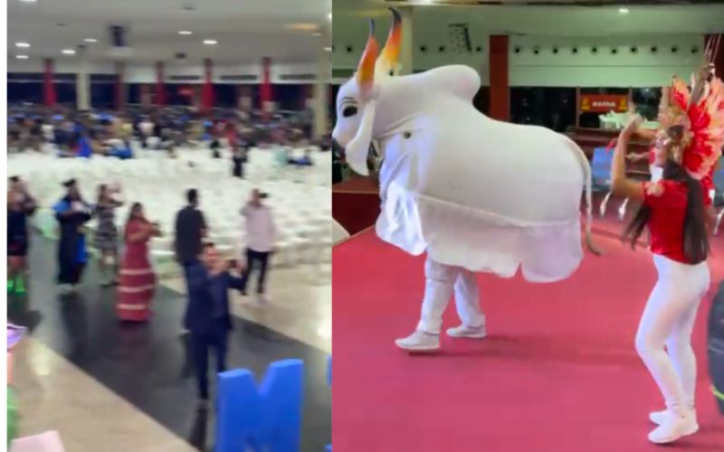 Boi Garantido se apresenta no Canaã - Foto: Reprodução/Redes Sociais