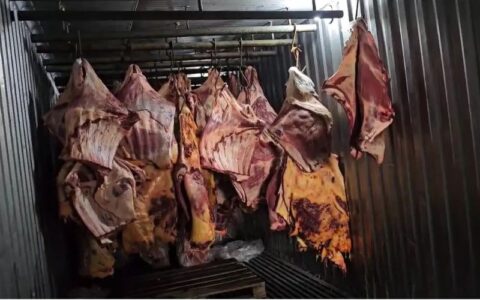 empresa-revendia-carne-que-est