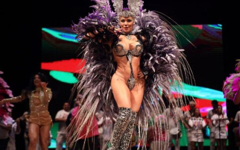 escolas-de-samba-de-manaus-ja-