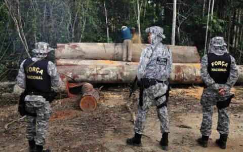 Governo estende ação da Força Nacional no Amazonas por mais 90 dias