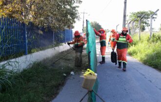 mutirao-reforca-organizacao-e-