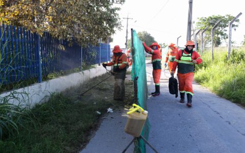 mutirao-reforca-organizacao-e-