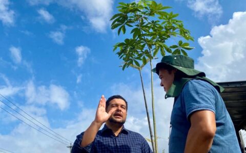 prefeitura-de-manaus-realiza-a