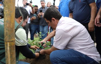 prefeitura-realiza-plantio-de-