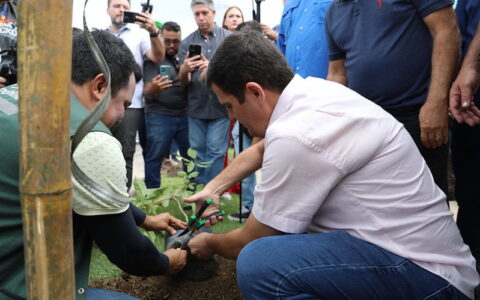 prefeitura-realiza-plantio-de-