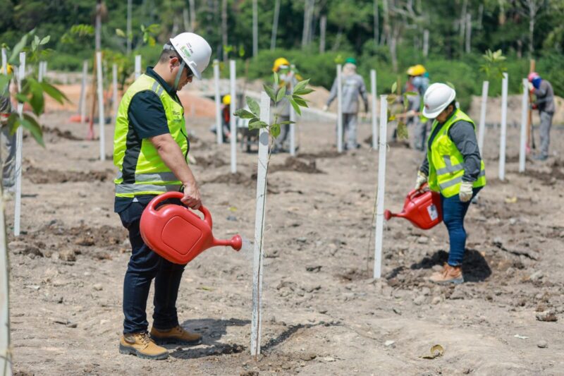 prosamin-inicia-projeto-inovad