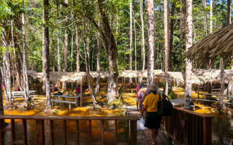 sesc-amazonas-abre-temporada-d