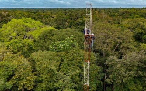varzea-da-amazonia-ganha-prime