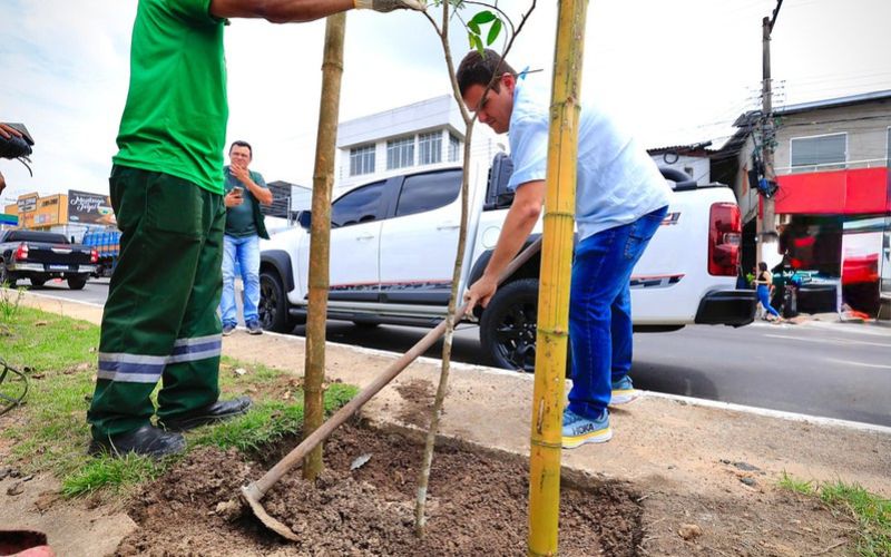 15-mil-mudas-serao-plantadas-e