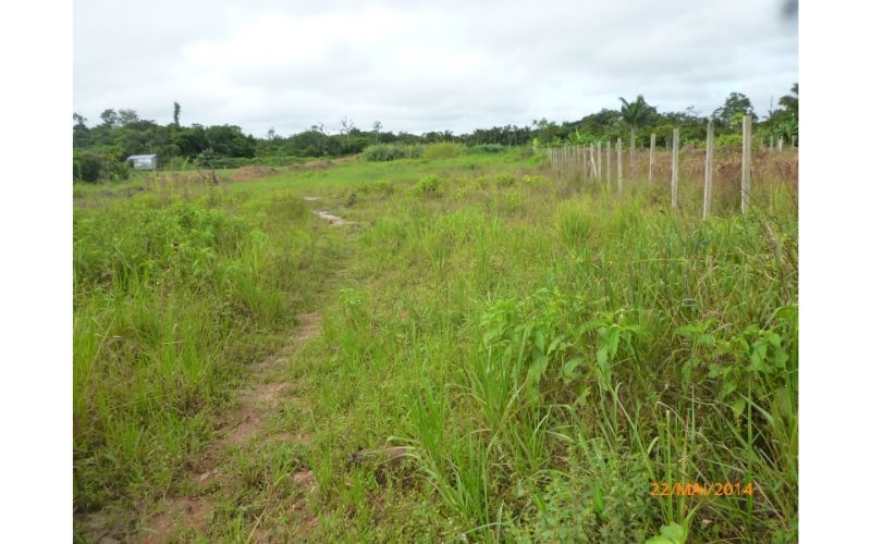 amazonas-tem-mais-de-140-obras