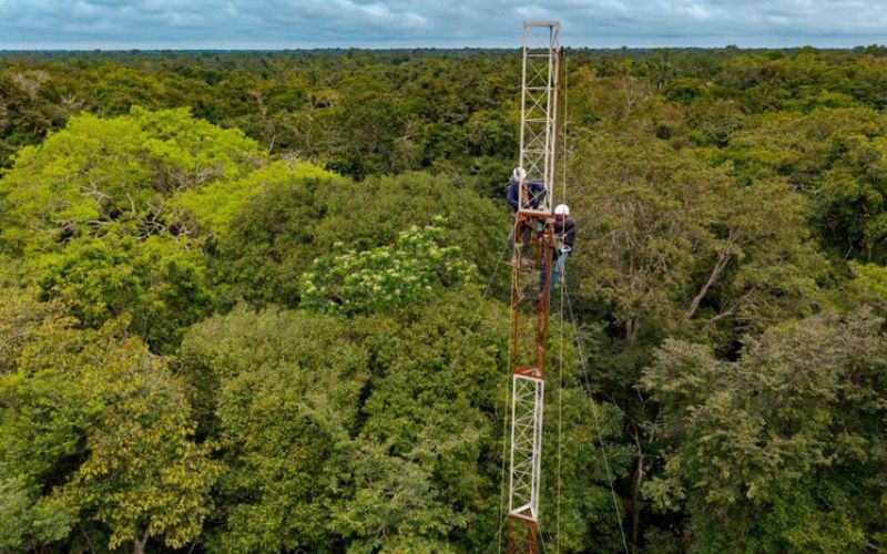 varzea-da-amazonia-ganha-prime