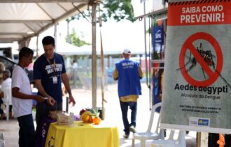 Casos de dengue no Brasil caem 60% nas primeiras semanas do ano