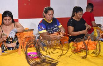 escolas-de-samba-passam-por-fi